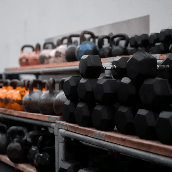 weights training equipment
